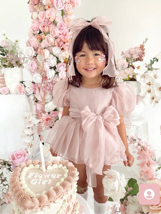 Arabella and Rose Other - Delicate Pink Bow-Tied Formal Dress for Girls